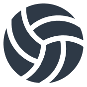 volleyball icon